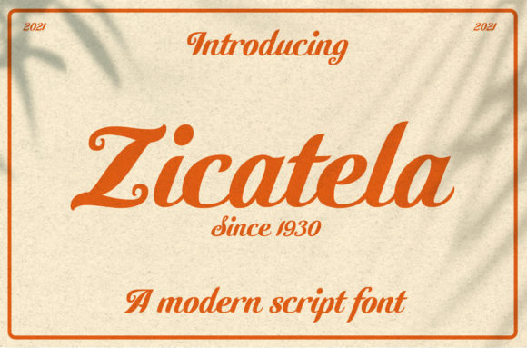 Zicatela Font: Bold Headlines for Campaigns
